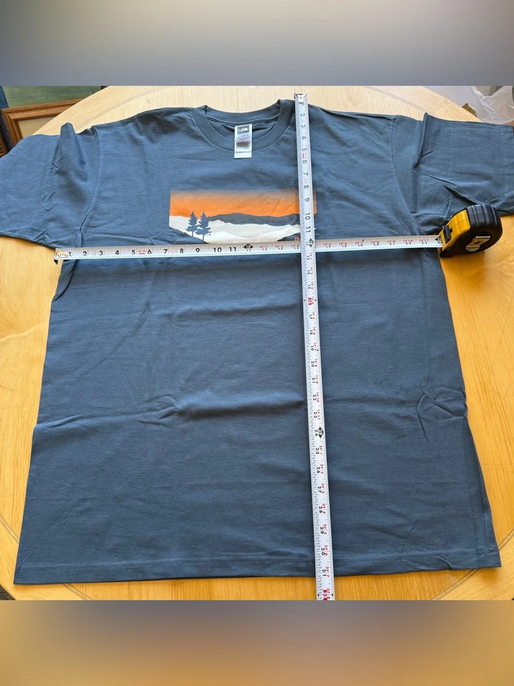 The North Face Mountain Sunset Graphic Tee Blue XL